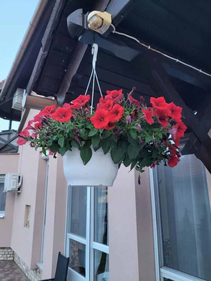 Hotel Anda Vendeghaz Harkány Exteriér fotografie