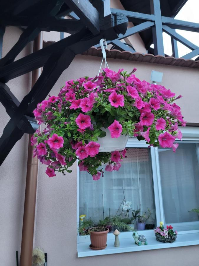Hotel Anda Vendeghaz Harkány Exteriér fotografie